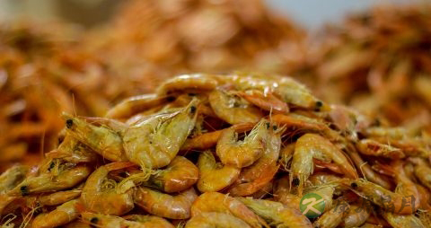 孕妇高血脂怎么办