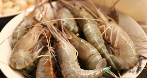 孕妇能吃虾子吗 孕妇能吃虾子吗