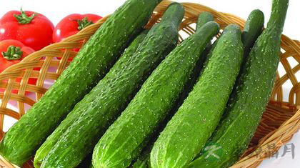 黄瓜清热消肿 孕妇吃黄瓜好吗