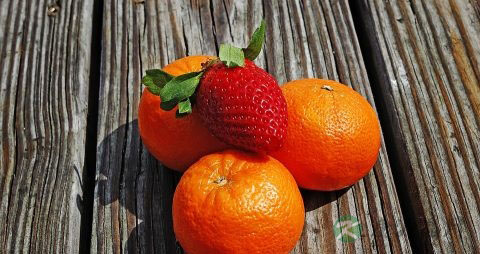 怀孕后期注意事项