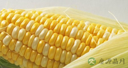 孕妇须知：想生男孩吃这些