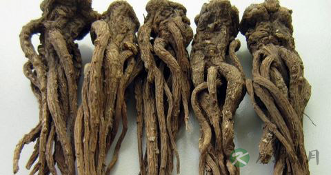 当归孕妇可以吃吗