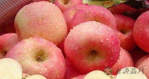 夏天孕妇吃什么水果比较好