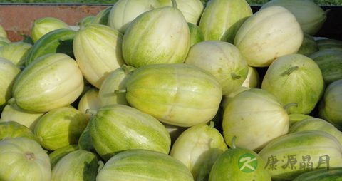 香瓜上火吗
