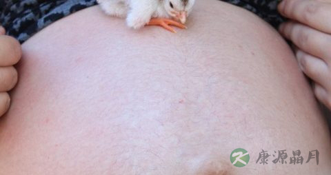 胎盘子宫前壁剖腹好剖吗