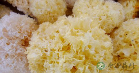 孕妇能吃银耳吗