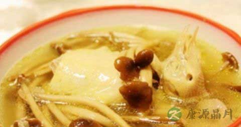 孕妇可以吃乳鸽炖汤吗