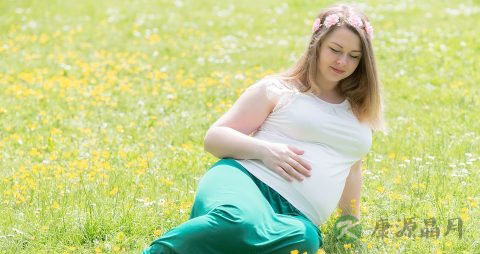 怀孕了可以喝红枣枸杞水吗 怀孕了可以喝红枣枸杞水吗