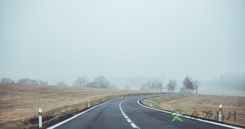 高速怎么停车