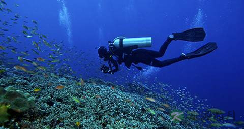 海里游泳怎么下潜