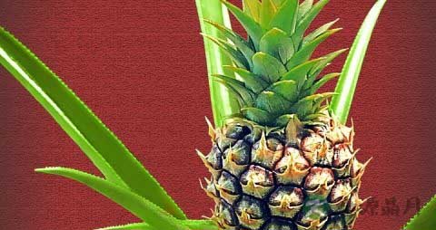 踢足球射门技巧有哪些