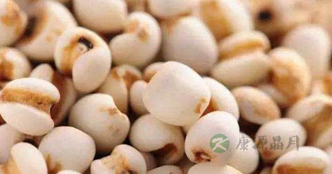 经常吃薏仁可以减肥吗