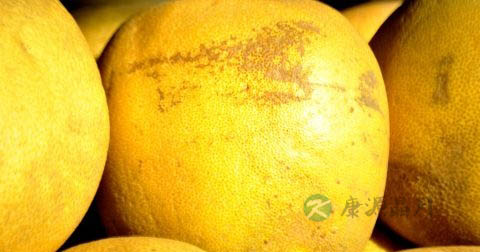 连续吃几天苹果主食可以减肥吗