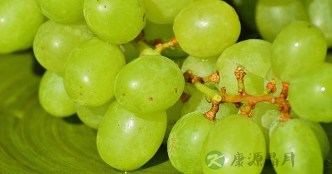晚上吃小番茄可以减肥吗