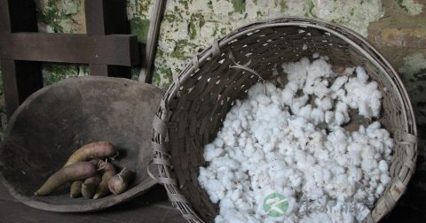 淮山番茄汤可以减肥吗
