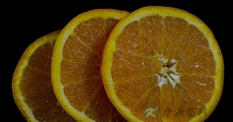 一天吃一顿可以减肥吗