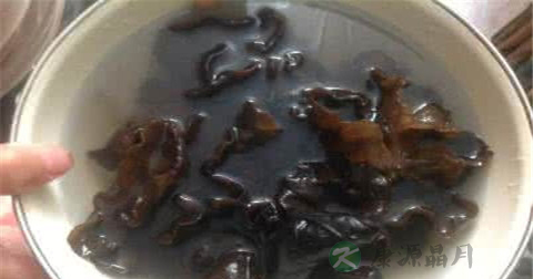 黑木耳可以减肥吗