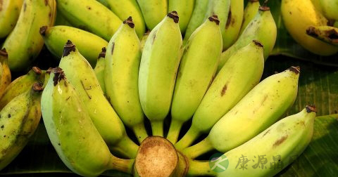 三天吃水果可以减肥吗