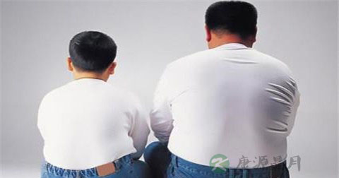 男性肥胖对怀孕有影响吗