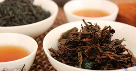 吃茶多酚可以减肥吗