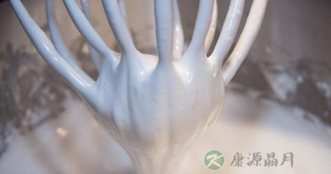 摄入蛋白质可以减肥吗