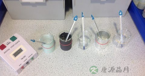 尿检蛋白质结果怎么看