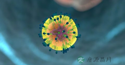 单核细胞计数偏低的原因