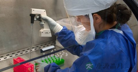 梅毒血清试验什么时候做