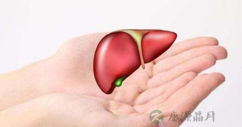 肝功能五项包括什么