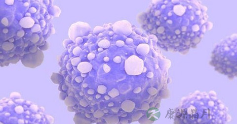 寨卡病毒流行特征