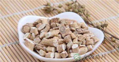 丹毒是看什么科的