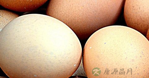 献血年龄规定多少岁