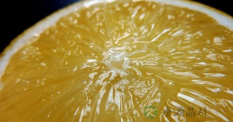 气管炎是内科吗