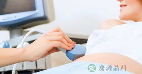 胎芽是什么