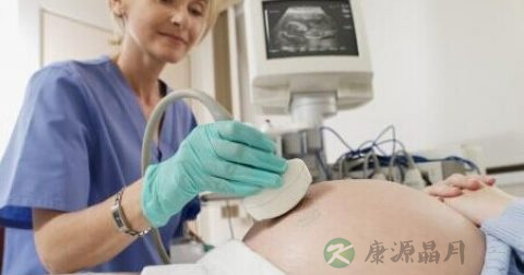 胎芽是什么