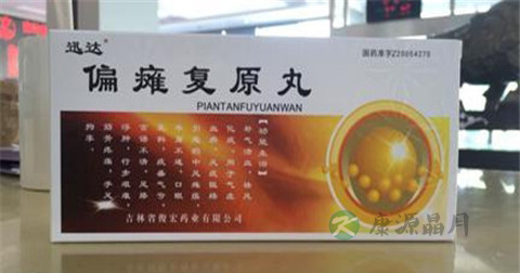 偏瘫复原丸说明书
