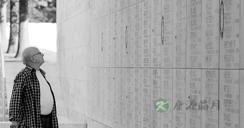卡左双多巴控释片说明书