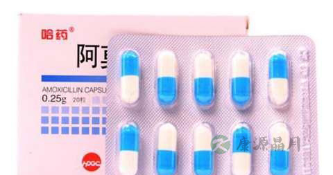 阿莫西林能治毛囊炎吗