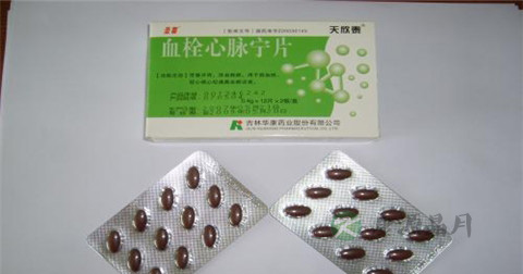 血栓心脉宁片说明书