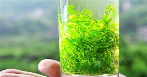 绞股蓝的功效作用和副作用