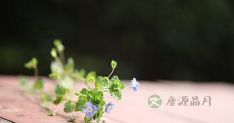 低密度脂蛋白高怎么办