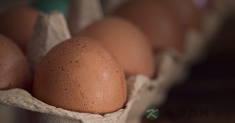 结肠镜检查注意事项