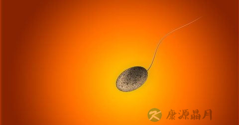 精子SP10蛋白检测试剂怎么用