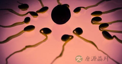 精子SP10蛋白检测试剂怎么用