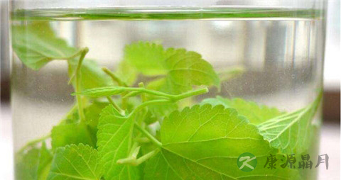 什么降血糖效果最好