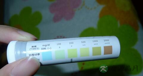 验尿糖发现3+是什么意思