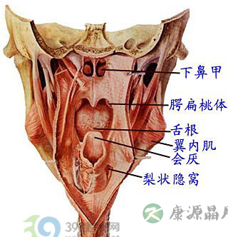 慢性咽炎图片