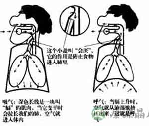 治疗冬日呃逆症有妙招