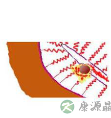 完全图示 生命的种子如何发芽