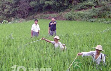 户外旅游接触到喷雾式农药的处理